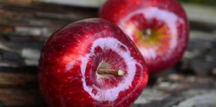Zwei rote Äpfel